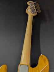 FUJIGEN NJB100MBAH -Vintage Natural-_7