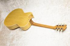 Archtop Tribute AT105D_4