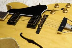 Archtop Tribute AT105D_6