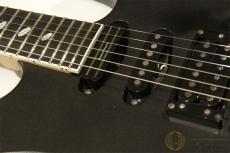 Caparison Dellinger Pro BLK 【返品OK】[ML111]【神戸店在庫】_10