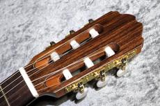 Orpheus Valley Guitars 【小物6点サービス!】Fiesta F63S 松【ショートスケール】【現物写真】【池袋店在庫品】_8