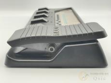 ZOOM Model 3030 [NLM35]【梅田店在庫】_3