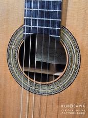 Leonardo De Gregorio レオナルド・デ・グレゴリオ 2026年製 Double Top ダブルトップ 杉・ウェンジ【日本総本店2F 在庫品】