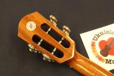 aNueNue aNN-AAA3 Solid Acacia Gloss Tenor with Paua Shell Rosette Ukulele #5600_6