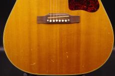 Gibson J-50_9