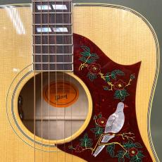 Gibson Dove Original_2
