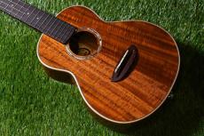 aNueNue AAA2E Concert