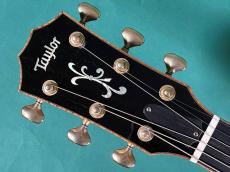Taylor LTD GSE-C_5