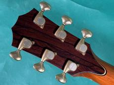 Taylor LTD GSE-C_6