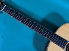 Taylor LTD GSE-C_7