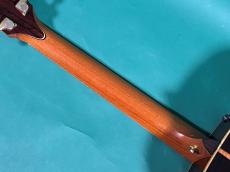 Taylor LTD GSE-C_8