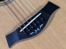 Taylor LTD GSE-C_10