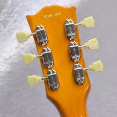 Edwards E-LP-STD/P【ゴールドトップ】現物画像_10