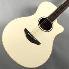 YAMAHA APX600