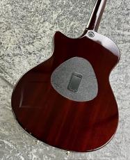 Taylor 【春の中古楽器祭り】 T-5 Standard 'TB 【2015'USED】_7