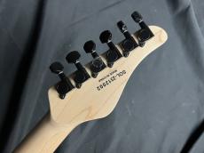 SCHECTER L-OL-NV-4-AL-RH/FRTR_10