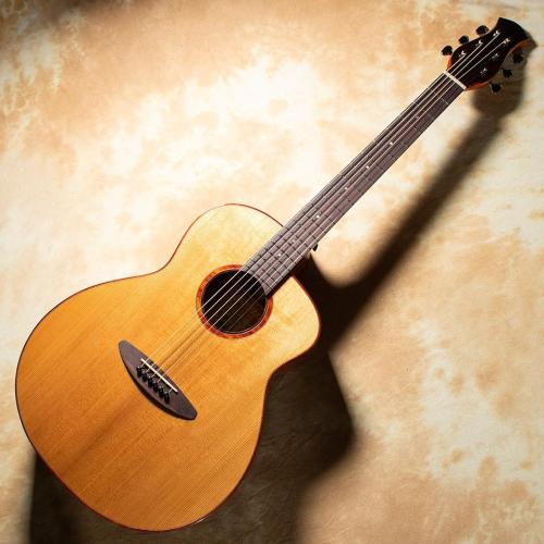 aNueNue aNN-LF550E【チョイキズ特価】