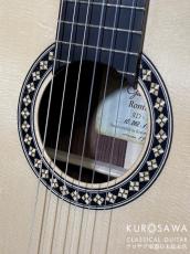 オルフェウス・ヴァレー・ギターズ　Orpheus Valley Guitars Romida RD-S ロミーダ RD-S 松・ローズウッド【日本総本店2F 在庫品】_3