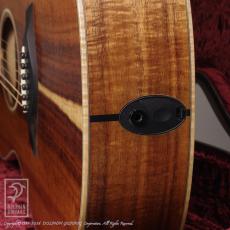 Taylor Custom GC (Hawaiian Koawood)_12