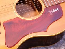 Gibson B-25N ADJ '68_7