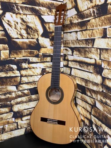 Paco Castillo パコ・カスティージョ 214F 松・シープレス【日本総本店2F在庫品】