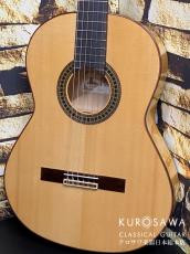 Paco Castillo パコ・カスティージョ 214F 松・シープレス【日本総本店2F在庫品】_2