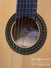 Paco Castillo パコ・カスティージョ 214F 松・シープレス【日本総本店2F在庫品】_3