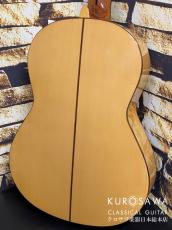 Paco Castillo パコ・カスティージョ 214F 松・シープレス【日本総本店2F在庫品】_5