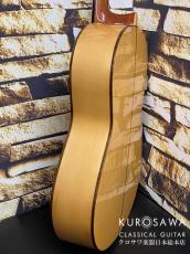 Paco Castillo パコ・カスティージョ 214F 松・シープレス【日本総本店2F在庫品】_6