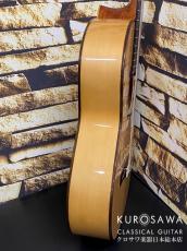 Paco Castillo パコ・カスティージョ 214F 松・シープレス【日本総本店2F在庫品】_7