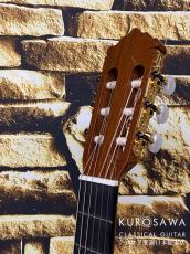 Paco Castillo パコ・カスティージョ 214F 松・シープレス【日本総本店2F在庫品】_8