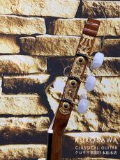 Paco Castillo パコ・カスティージョ 214F 松・シープレス【日本総本店2F在庫品】_9