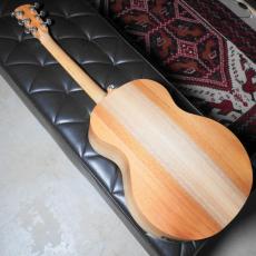 Cole Clark CCAN1E-BM_3