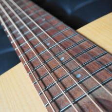 Cole Clark CCAN1E-BM_5