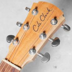 Cole Clark CCAN1E-BM_7