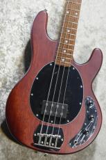 Sterling by MUSIC MAN SUB Series StingRay Ray4 WS Walnut Satin #B2130201【3.85kg】【ST-RAY4-WS-J1】