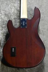 Sterling by MUSIC MAN SUB Series StingRay Ray4 WS Walnut Satin #B2130201【3.85kg】【ST-RAY4-WS-J1】_5