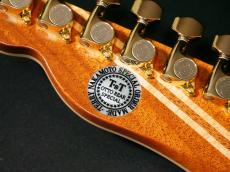 Terry's Terry TS CUSTOM ”OTTO REAR SPECIAL”【当店の拘りが詰まった最高傑作!遂に完成しました!】_9