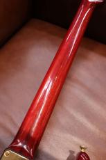 SCHECTER Custom Model All Mahogany Made in USA 3.25kg_6