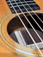 Martin D-28 Street Lege_7