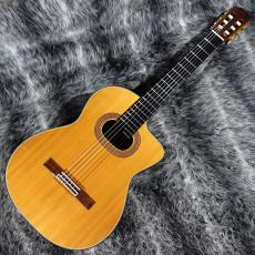 Takamine NPT-315_2