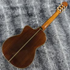 Takamine NPT-315_3