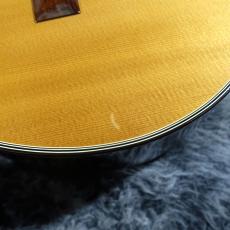 Takamine NPT-315_4