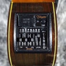 Takamine NPT-315_6
