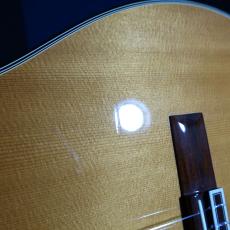 Takamine NPT-315_9