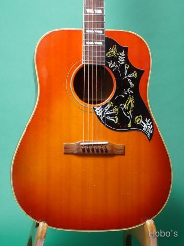 Gibson Hummingbird