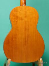 Waterloo (By Collings) WL-S_4