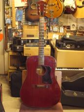 Guild D-25(1969)_2