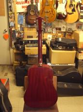 Guild D-25(1969)_3