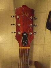 Guild D-25(1969)_5